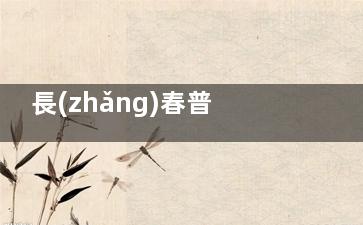 長(zhǎng)春普瑞眼科醫(yī)院價(jià)格表2026，近視眼9800元起、白內(nèi)障5000元起、角膜塑形鏡5500元起